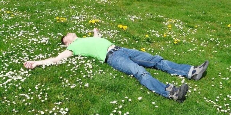 Non-Sleep Deep Rest (NSDR): A New Frontier in Rejuvenation Beyond Sleep